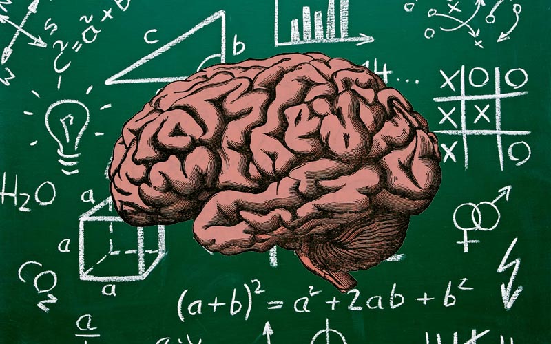 Cerveau lent