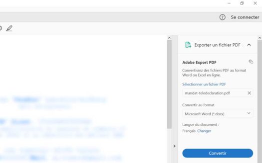 COMMENT TRANSFORMER UN FICHIER PDF EN WORD SUR IPHONE visual data 8