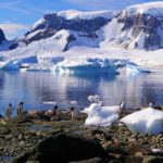 antarctique rechauffement climatique