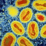 variole cree laboratoire adn internet