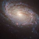 NASA Supernova SN 2004dg