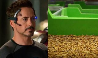 Robert Downey Jr (Iron Man) investit des millions d’euros dans une entreprise française productrice d’insectes