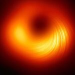 Le champ magnétique autour du trou noir M87*
