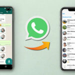 WhatsApp va enfin permettre la migration iPhone et Android
