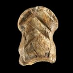 Os de cerf sculpté, Néandertal