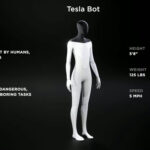Le Tesla Bot