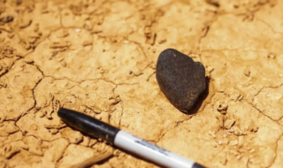 La météorite en question - Crédit : Seamus Anderson / Curtin University