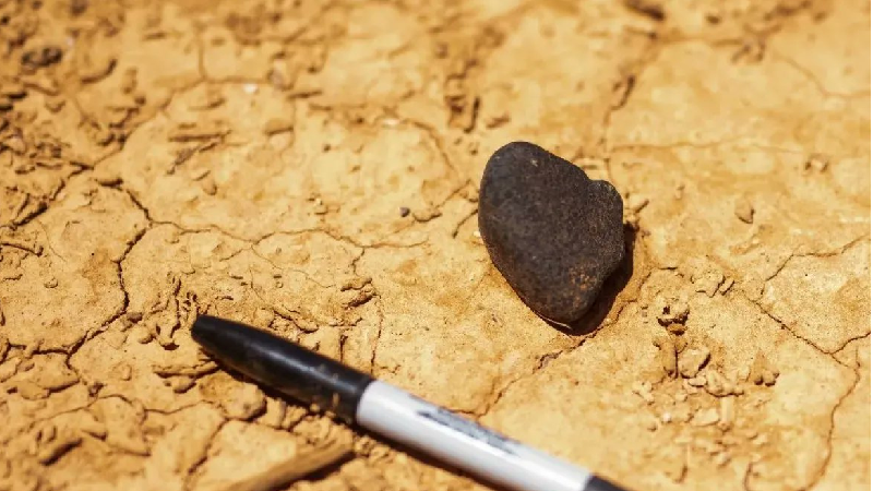 La météorite en question - Crédit : Seamus Anderson / Curtin University