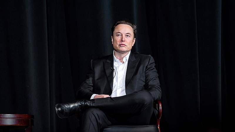 Elon Musk - © Wikimedia