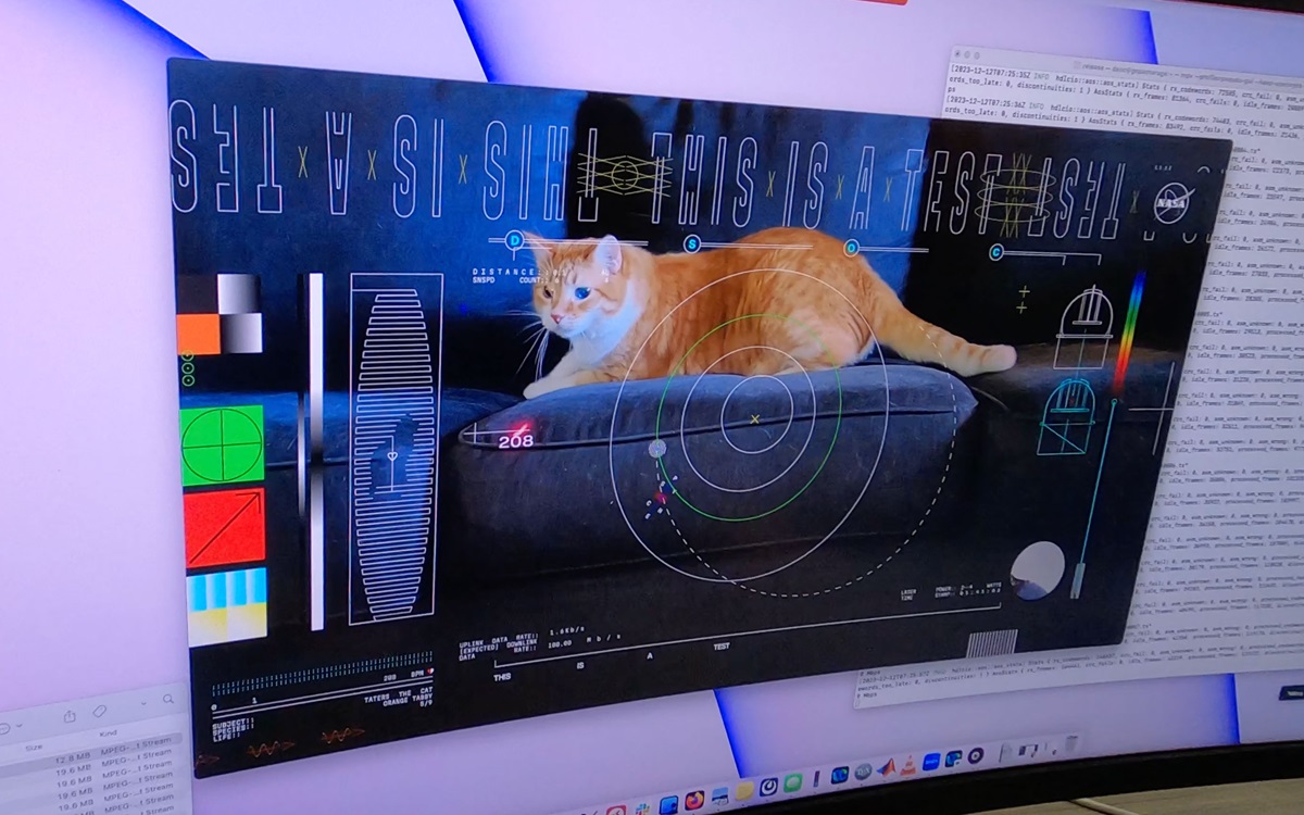 Vidéo d'un chat envoyée par la NASA