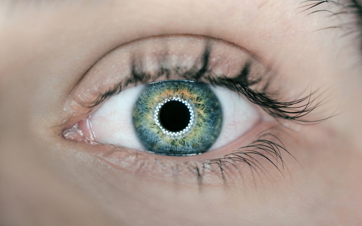 Yeux