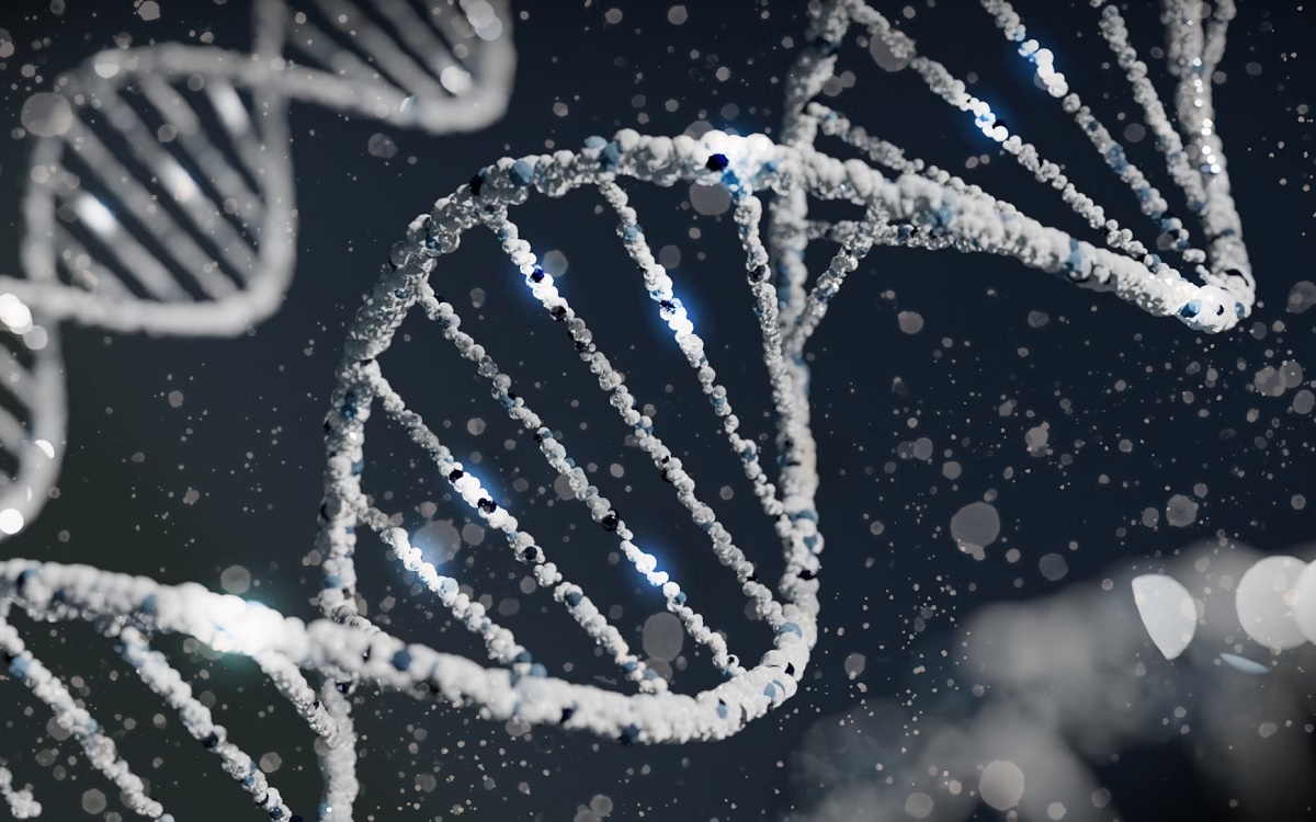 Des scientifiques veulent recréer l’ADN humain à partir de zéro