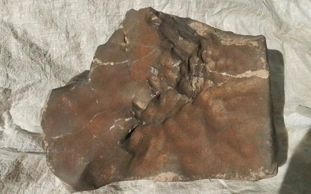 Mars : cette énorme roche martienne vaut plusieurs millions de dollars