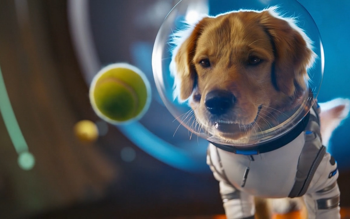 Sora 2 : le générateur de vidéos d’OpenAI explose toutes les attentes