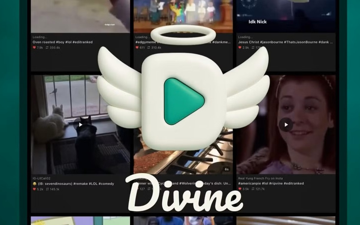 Vine : l’ancêtre de TikTok revient d’entre les morts, et s’appelle maintenant Divine