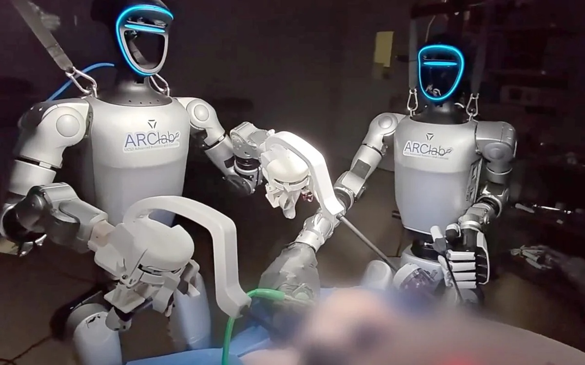 Robots humanoïdes